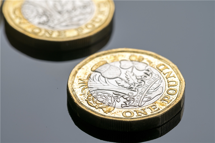 Pound Coin image JPEG - purchased 7214646-crop-v2.jpg